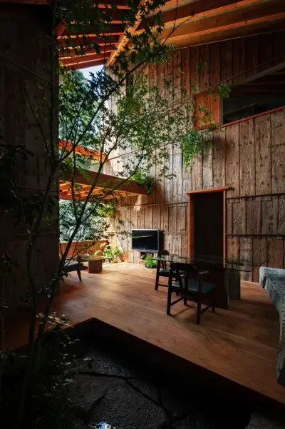 Interior de la Casa de la Tierra: paredes de madera, una mesa y un árbol en primer plano que filtra la luz.