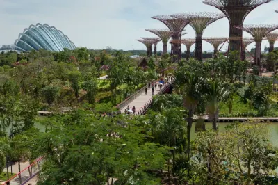 Gardens by the Bay, en Singapur: superárboles de metal, cúpulas de vidrio y senderos entre la vegetación