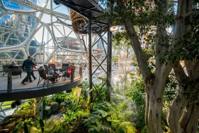 Interior de las Amazon Spheres, en Seattle: una terraza con mesas entre árboles y plantas, bajo una cúpula de vidrio