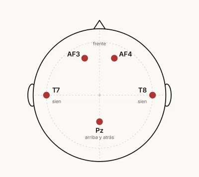 Esquema de una cabeza vista desde arriba, con la nariz hacia arriba y las orejas a los costados. Cinco puntos rojos marcan los sensores: AF3 y AF4 en la frente, T7 y T8 en las sienes y Pz arriba y atrás.